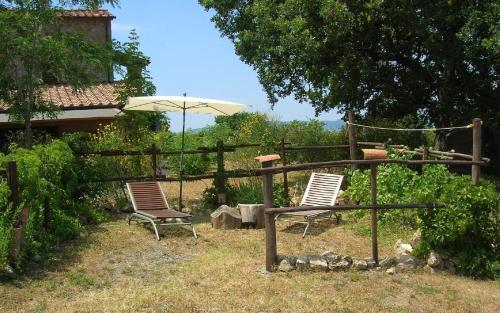 Ferienwohnung in Castellina Marittima mit Grill und Garten