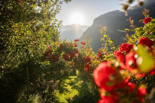 Charmehotel Uhrerhof - Deur - image 7
