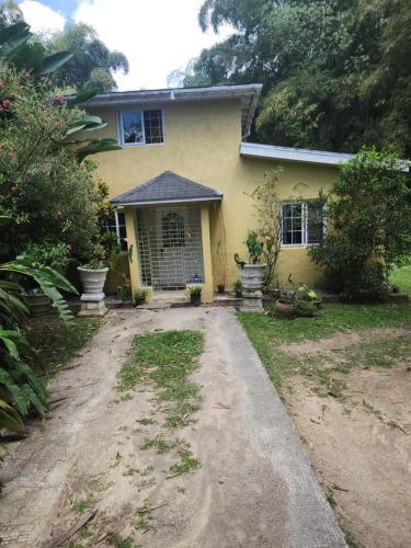 The Bamboo Bungalow