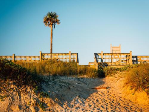 862 Cinnamon Beach 3 Bedroom Sleeps 8 Ocean Front 2 Pools Pet Friendly - image 14