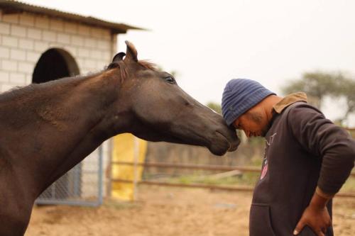 Farm Aavjo - A Conscious Stay photo 4