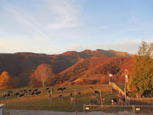 Panoramic apartment on Monte Generoso