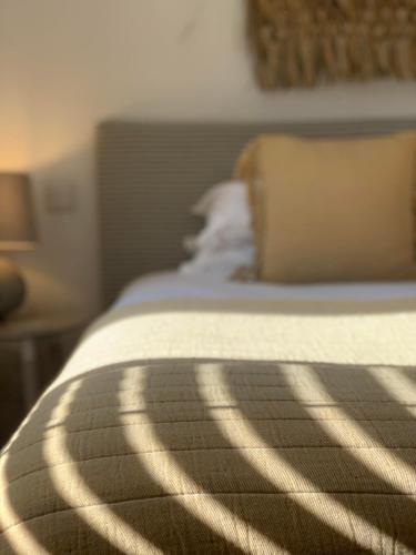 Primrose House St. Ives Room Type - Large Suite - 4