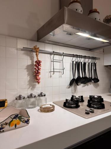 Roof Apartment in Somma