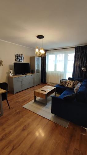 Apartament Reja - Apartment - Włocławek