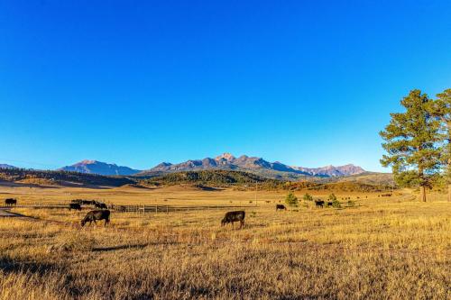 Park Place #926, Pagosa Springs (fotografie 7)