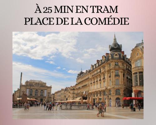 T2 Prestance Montpellier Proche Plage Parking in Parc Marianne