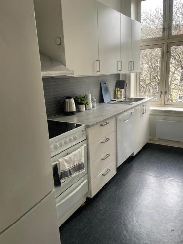 Big and Nice apartment in Oslo City center 1