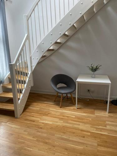 Big and Nice apartment in Oslo City center 2