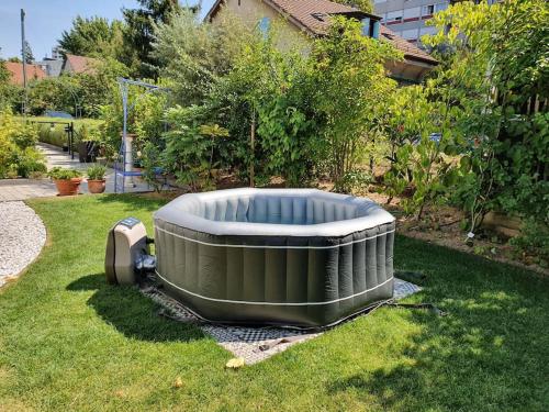 Appartement pour un couple, jardin, Ginebra (foto 5)