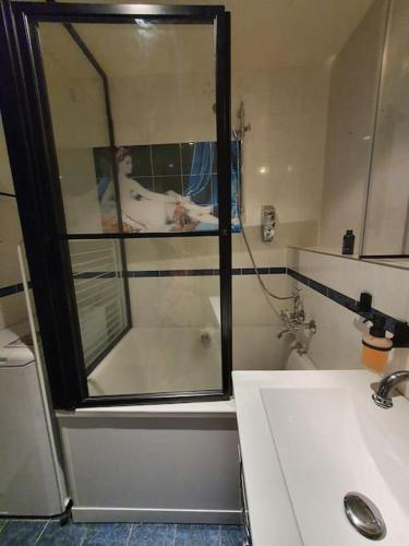 Appartement pour un couple, jardin, Ginebra (foto 6)