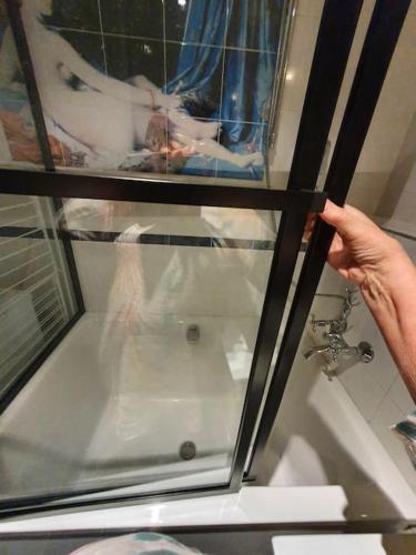 Appartement pour un couple, jardin, Ginebra (foto 7)