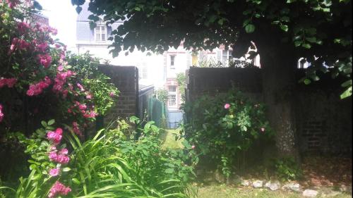 Maison mer, jardin, plage, forêt