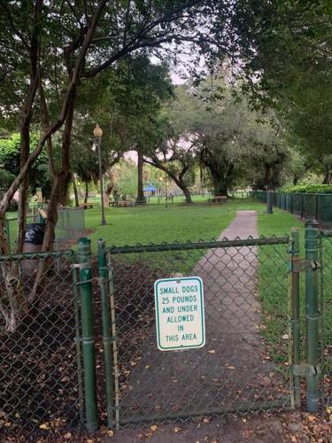 Casa Gialla: Entire Home in downtown WPB in West Palm Beach, USA