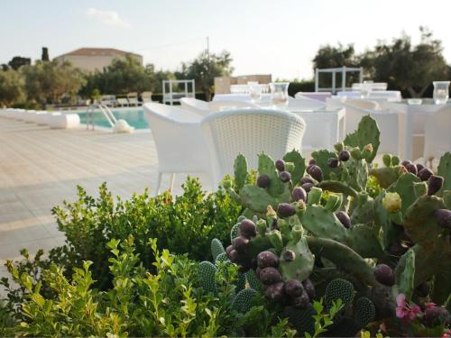 Hotel Villa Fanusa - image 4