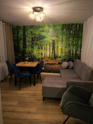 Apartament Przy Rynku w Radkowie - Apartment - Radków