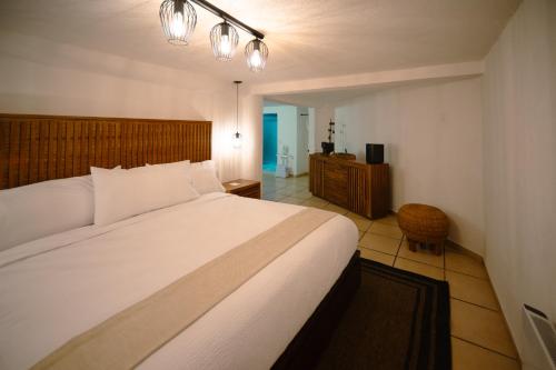 BOTANIQ HOTEL BOUTIQUE photo 1