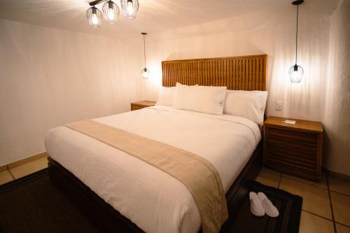 BOTANIQ HOTEL BOUTIQUE photo 3