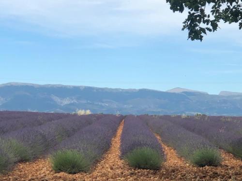 Le petit Saint Clair