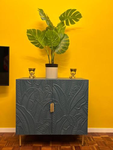 La Casa Di Rosa - image 2