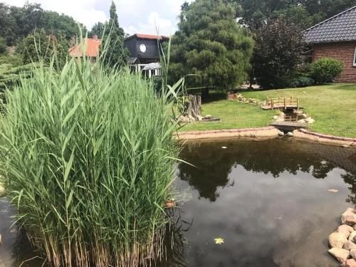 Ferienhaus Elbe-Ilenpool -In Ruhe entspannen Schönes erleben (Ferienhaus Elbe-Ilenpool -In Ruhe entspannen Schones erleben) in 布萊克德