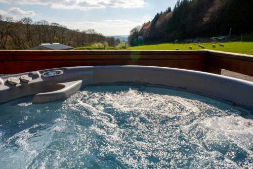 Karstais baseins, Bothy Cabin -Log cabin in wales - with hot tub in Bettws Cedewain