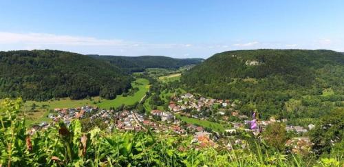 Wohnung in Bad Ditzenbach mit Eigenem Garten