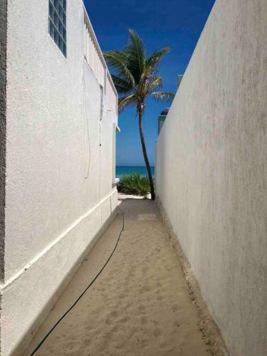Casa Cancion in Chuburná, Mexico