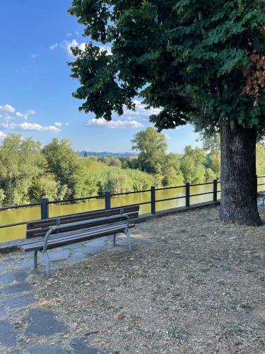 A környék, La casa di Ciccio in Capraia E Limite