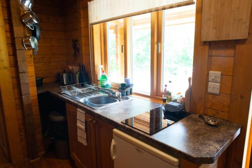 virtuve, Blossom Cabin - Little log Cabin in Wales in Bettws Cedewain