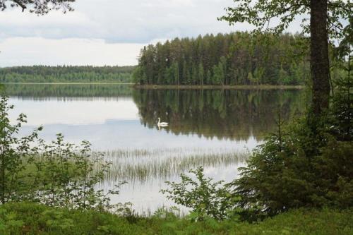 Hochwertiges Ferienhaus mit Sauna sowie Holzterrasse und Garten am See