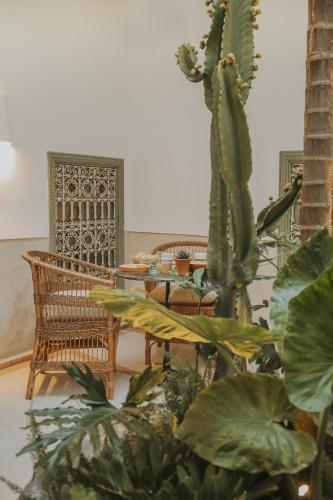 Riad Dar M - image 6