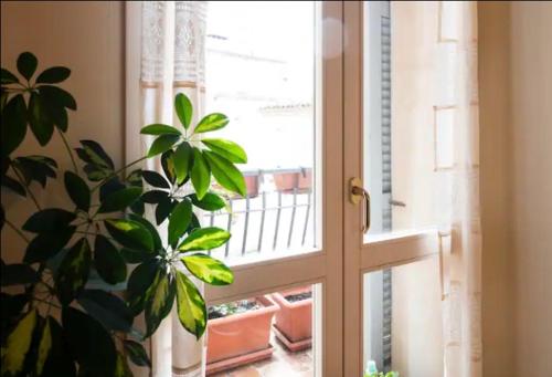 Cozy apartment in Palazzo Magnalbo'