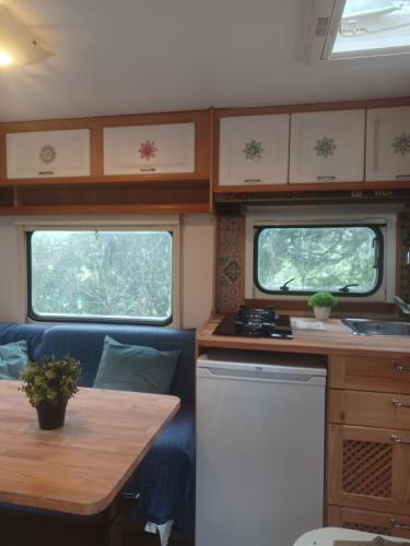 Camping en Molino Dorado