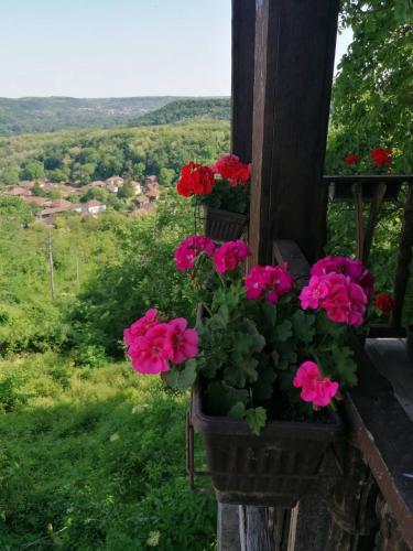 Apkārtne, Country house pivnica Milic Rogljevo in Rogljevo