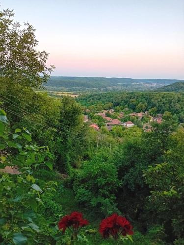 Apkārtne, Country house pivnica Milic Rogljevo in Rogljevo