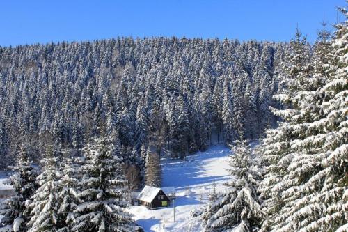 Ferienwohnung in Klingenthal mit Terrasse, Grill und Garten, Клингенталь (фото 3)