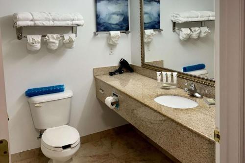 Country Inn & Suites by Radisson, Port Charlotte, FL