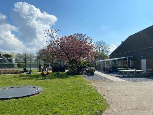 Ferienhaus fur 4 Personen ca 65 m in Stavenisse, Zeeland Tholen in Stavenisse