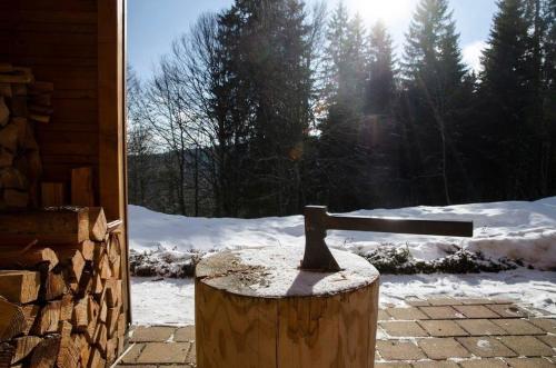 Ferienhaus in Feldberg Schwarzwald mit Privatem Pool