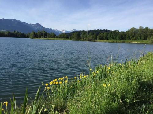 Tolle Wohnung in Ofterschwang mit Eigener Sauna und Bergblick