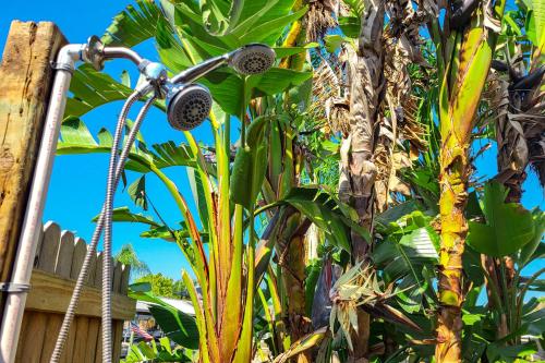 Sago Palm Way Sago Palm Way