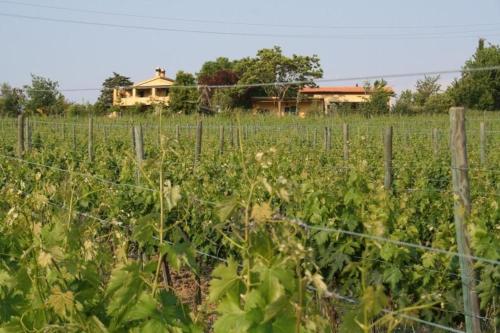 Unabhaengige Ferienwohnung in Manciano mit Großem Garten