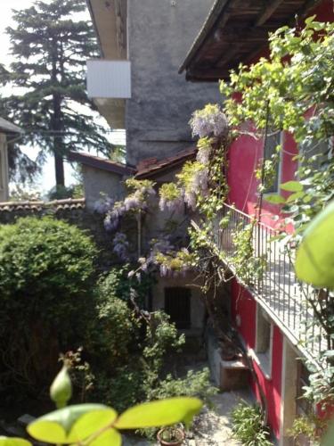 Ferienwohnung für 2 Personen 2 Kinder ca 55 qm in Miasino, Piemont Ortasee