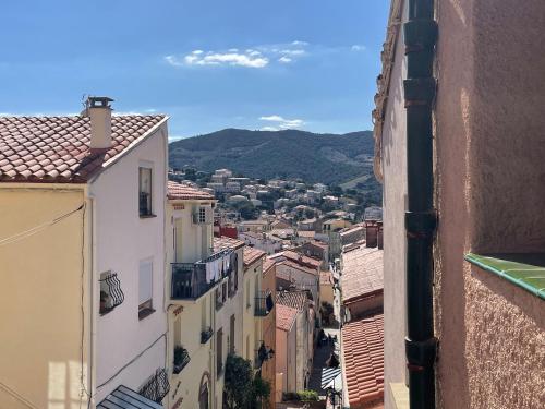 Maison Banyuls-sur-Mer, 2 pièces, 4 personnes - FR-1-309-435 - Location saisonnière - Banyuls-sur-Mer