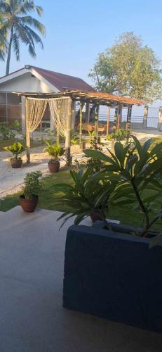Fins Pacific Coral Bay by Hiverooms
