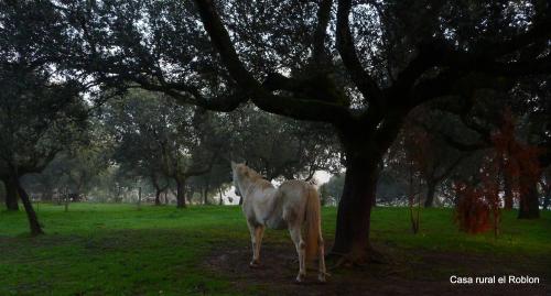 Casa Rural El Roblon