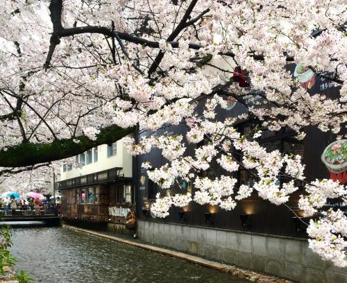 ABiz hotel kyoto