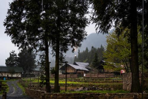 BZIKA Hilltop Tent Hotel