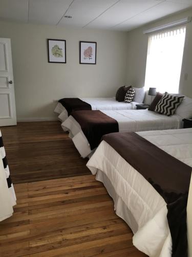 NASS Bed & Breakfast, Cuenca (fotografie 4)